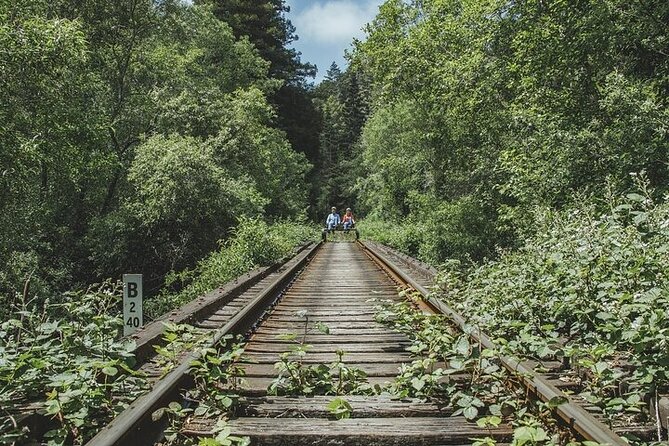 Redwoods Railbike Along Pudding Creek - Key Points