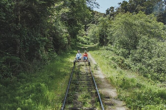 Redwoods Railbike Along Pudding Creek - Guided Commentary and Educational Stories