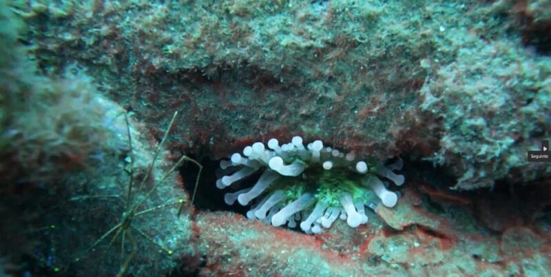 Reef Fish Watching - Booking Flexibility and Cancellation Policy