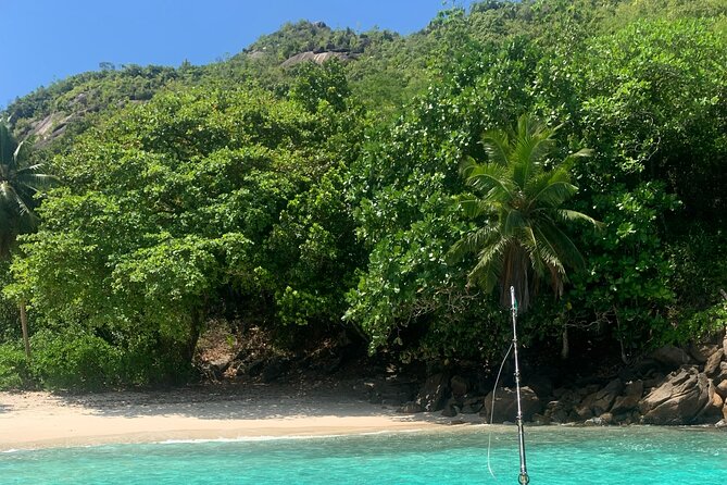 Reef Safari - Snorkeling, Fish Feeding & Lunch (Shared Day Trip) - Cerf Island and the Seychelles BBQ Lunch