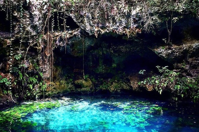 Reef Snorkel + 3 Cenotes with local food experience! - Snorkeling in Puerto Morelos’ National Park