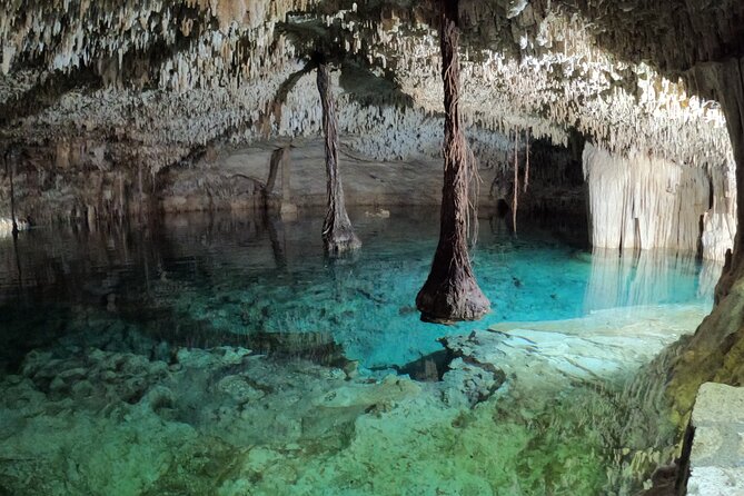 Reef Snorkel + 3 Cenotes with local food experience! - Authentic Regional Buffet Lunch by Local Inhabitants