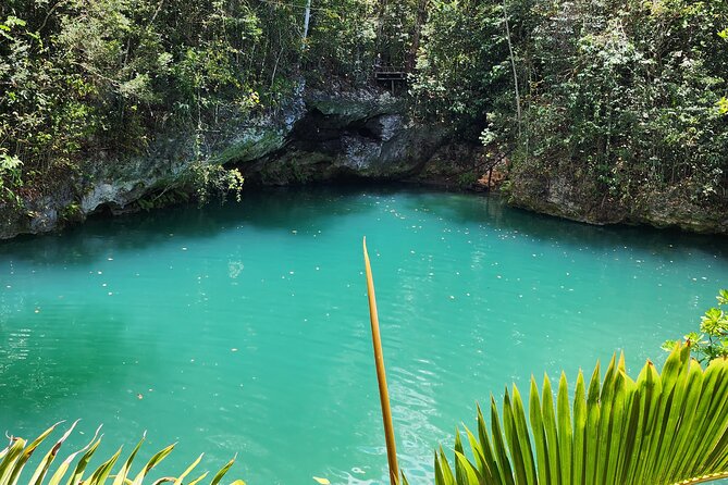 Reef Snorkel + 3 Cenotes with local food experience! - What’s Included and What’s Not