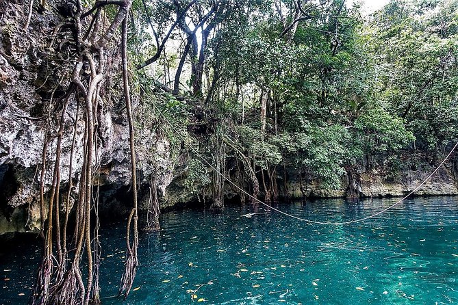 Reef Snorkel + 3 Cenotes with local food experience! - Who Will Enjoy This Tour?