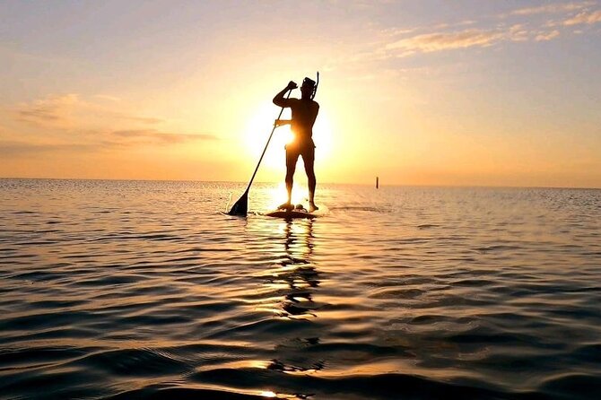 Reef Snorkel & Ocean Paddle Adventure in Fort Lauderdale Beach - Expert Guides and Personal Attention