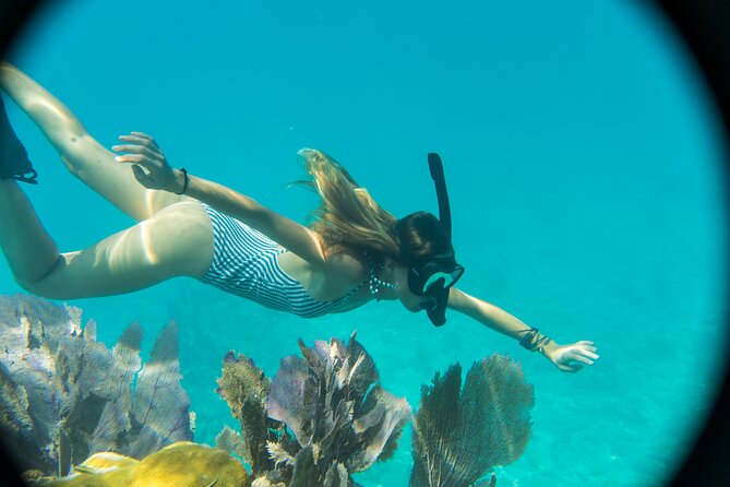 Reef Snorkel + Sandbar & Sunset Sail-Small Groups with Honest Eco - Explore the Authentic Reef Snorkel and Sunset Sail with Honest Eco