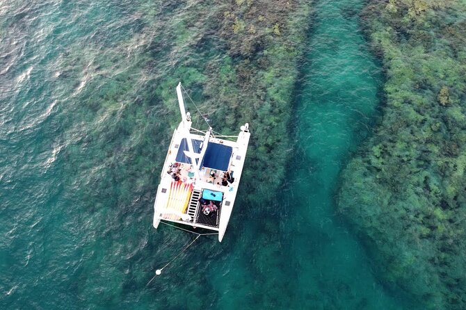 Reef Snorkel + Sandbar & Sunset Sail-Small Groups with Honest Eco - Key Points