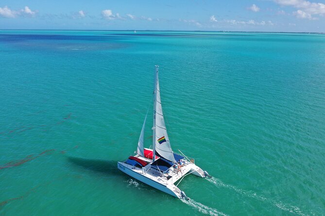 Reef Snorkel + Sandbar & Sunset Sail-Small Groups with Honest Eco - Customer Satisfaction and Reviews