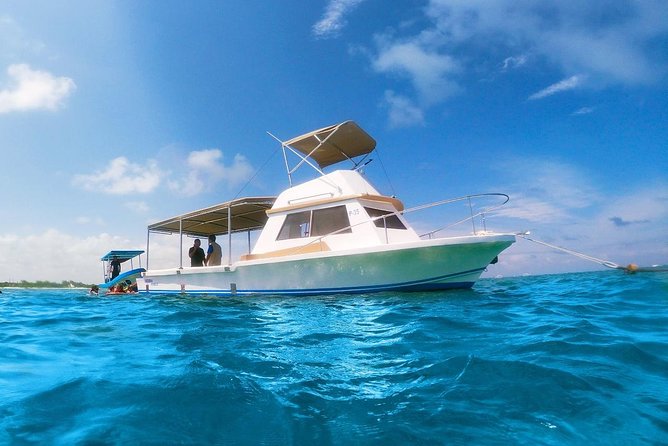 Reef Snorkeling in National Park from Cancun with Beachside Lunch - Exploring Puerto Morelos Village After Snorkeling