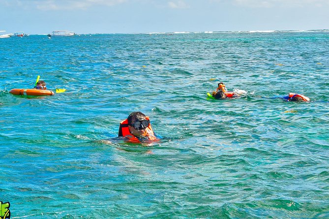 Reef Snorkeling in National Park from Cancun with Beachside Lunch - Pacing, Duration, and Flexibility