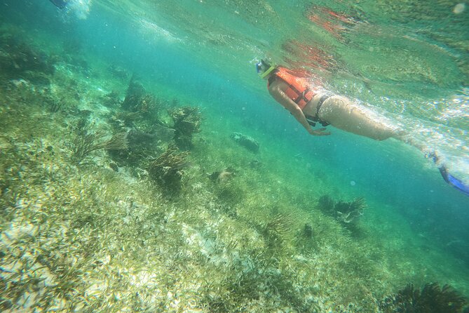 Reef Snorkeling with ATV, Zipline, Cenote that includes lunch and transportation - Enjoying a Relaxed Lunch at the Beachside Restaurant