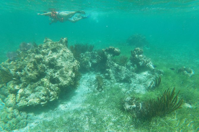 Reef Snorkeling with ATV, Zipline, Cenote that includes lunch and transportation - Physical Fitness and Equipment Needs