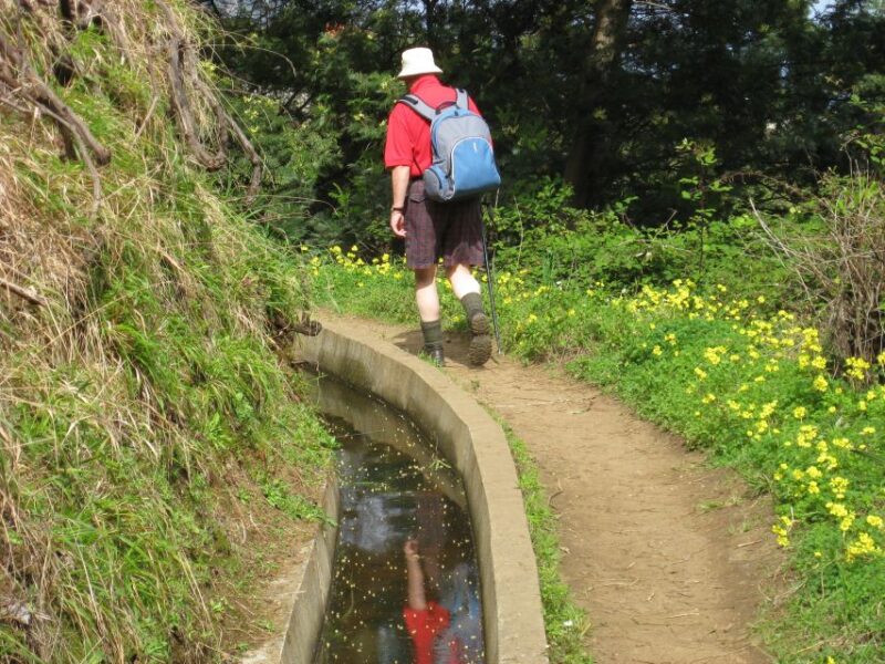 Referta & Castelejo: Half-Day Morning Walk - Flexible Booking and Cancellations