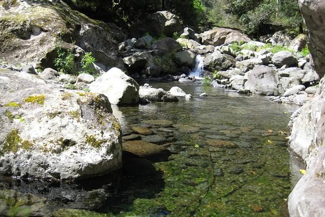 Referta Castelejo Levada Walk from Funchal - Starting the Adventure in Porto da Cruz