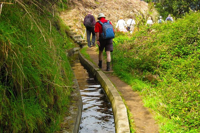 Referta Castelejo Levada Walk from Funchal - Why Choose the Referta Castelejo Levada Walk