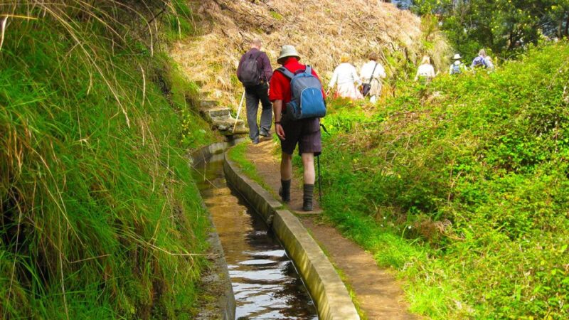 Referta / Castelejo - Levada Walk - Discover the Referta / Castelejo Levada Walk in Madeira