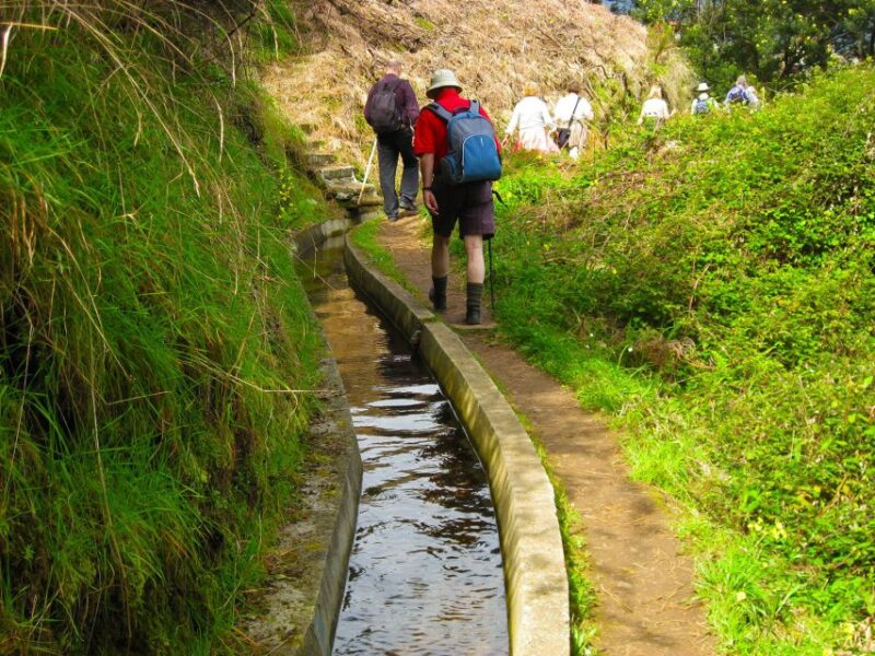 Referta / Castelejo - Levada Walk - Practical Details: Pickup, Pricing, and Cancellation