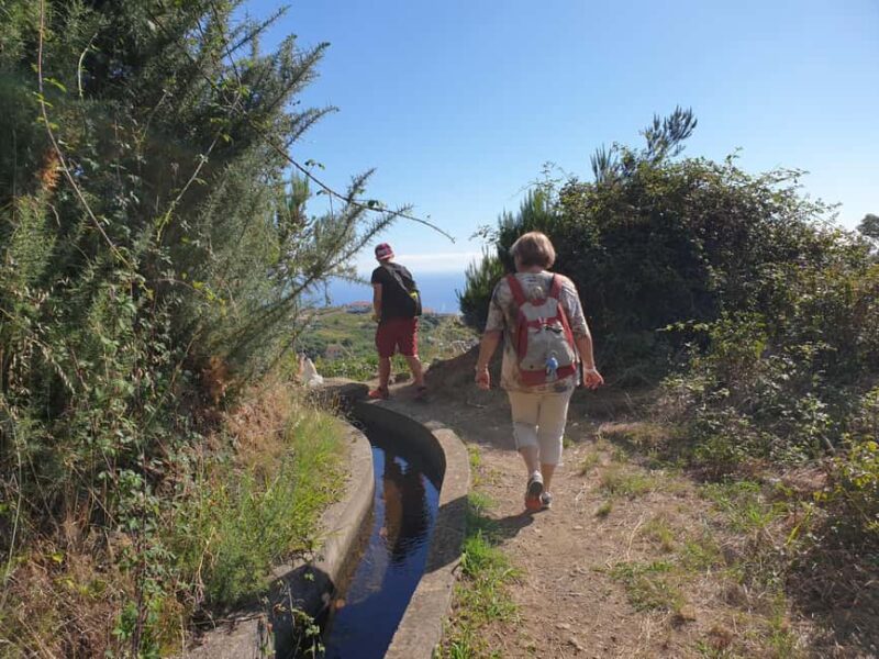 Referta levada walk: Discover Madeiras Quiet Countryside - What Makes the Referta-Castelejo Walk Special