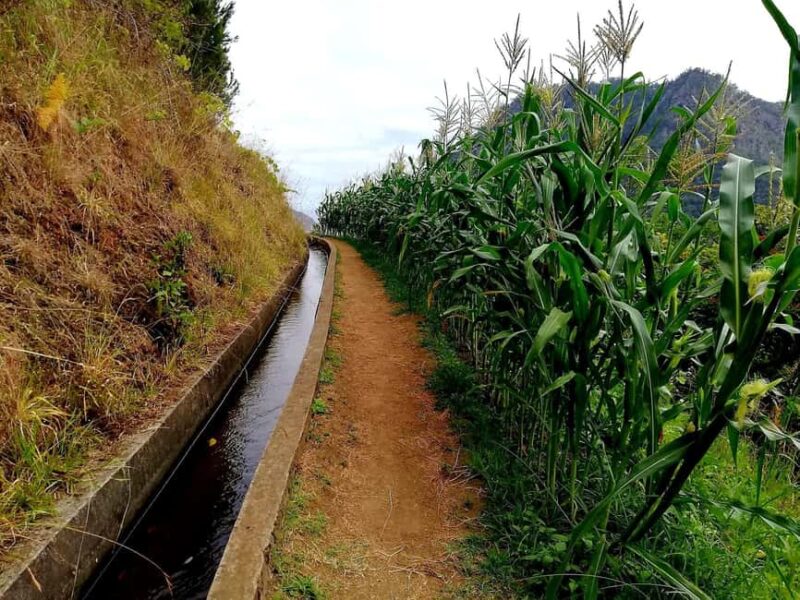 Referta levada walk: Discover Madeiras Quiet Countryside - How to Reserve and Cancellation Policy