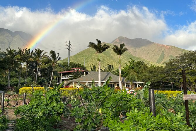 Regenerative Mango and Tropical Fruit Tour in West Maui - Beautiful Views and Sustainable Farming at Maui Mango Mala Farm