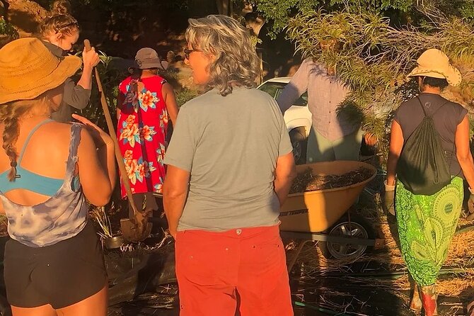 Regenerative Mango and Tropical Fruit Tour in West Maui - What to Expect During the 2-Hour Tour