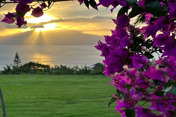 Regenerative Mango and Tropical Fruit Tour in West Maui - Cancelation Policy and Weather Considerations