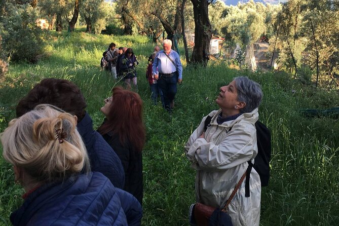 Reggio Calabria Museum and City Guide . Direct Moses - Reggio Calabria’s Unique Highlights: The Riace Bronzes and Coastal Views
