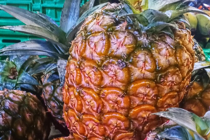 Regional food experience in Ponta Delgada - Booking and Cancellation Policy