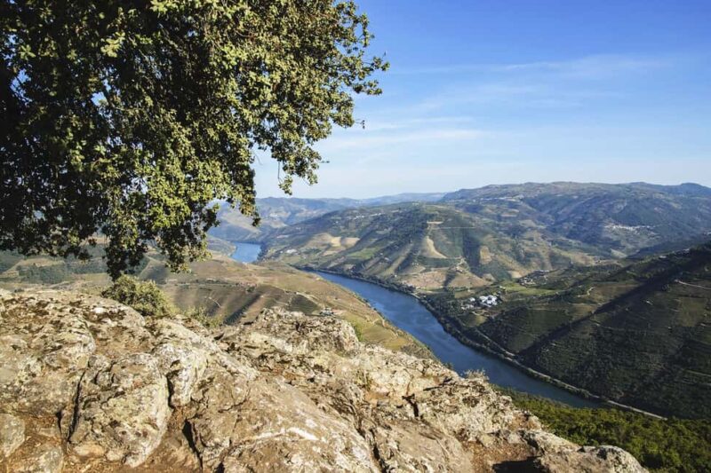 Régua: Wine tasting at a Quinta, traditional lunch, cruise, and train ride - Douro River Cruise from Régua to Pinhão