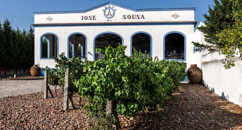 Reguengos de Monsaraz: José de Sousa Winery Tour and Tasting - Discover the Unique Charm of the José de Sousa Winery Tour and Tasting