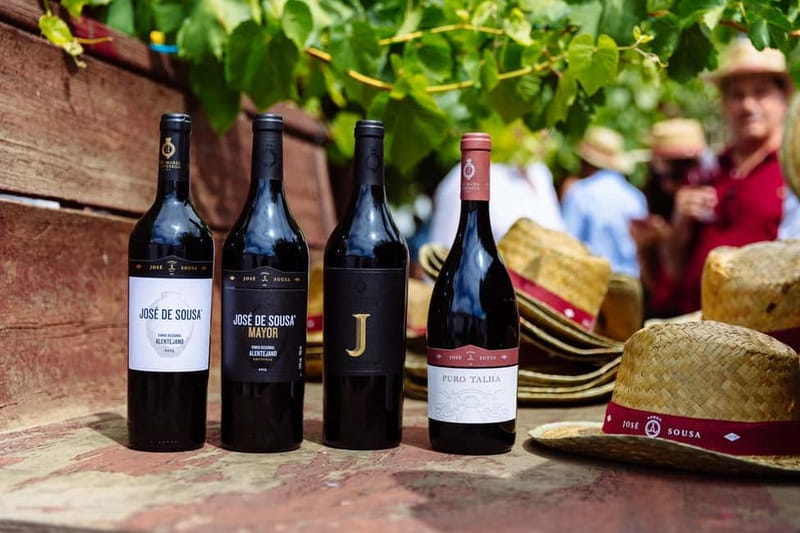 Reguengos de Monsaraz: José de Sousa Winery Tour and Tasting - The Logistics and Booking Flexibility