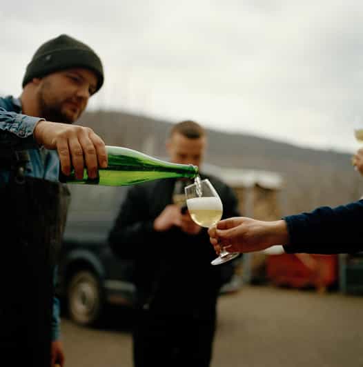 Reil, Mosel: Guided organic wine tasting and cellar tour - The Starting Point at Kringstraße 36