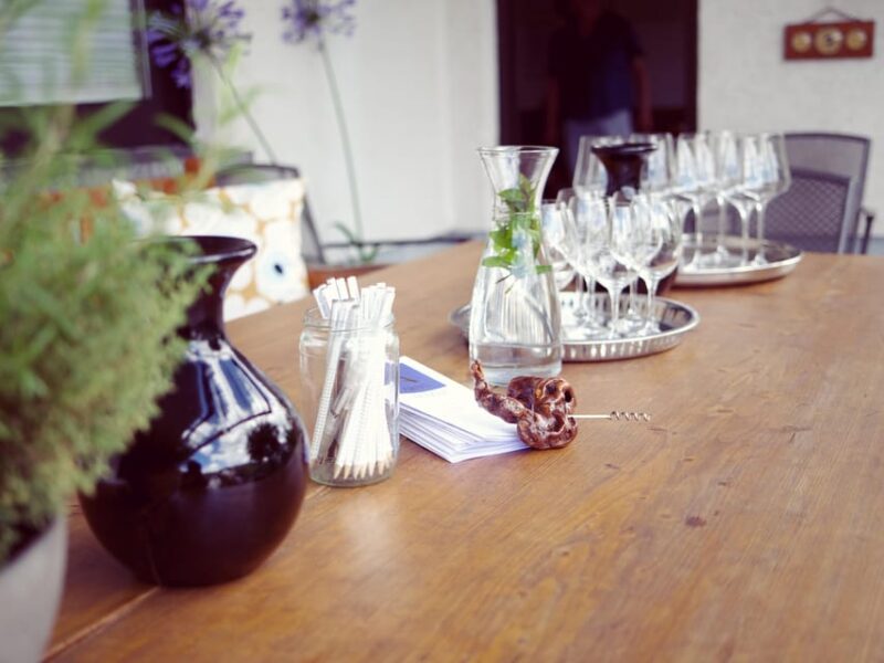 Reil, Mosel: Guided organic wine tasting and cellar tour - Tasting Organic Wines in a Cozy Setting