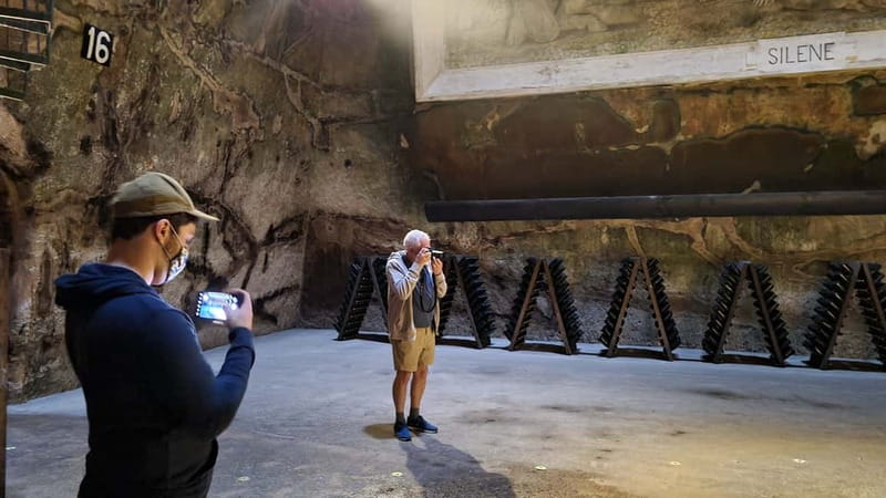 Reims: Big and small wineries day tour - Gourmet French Lunch Paired with Champagne