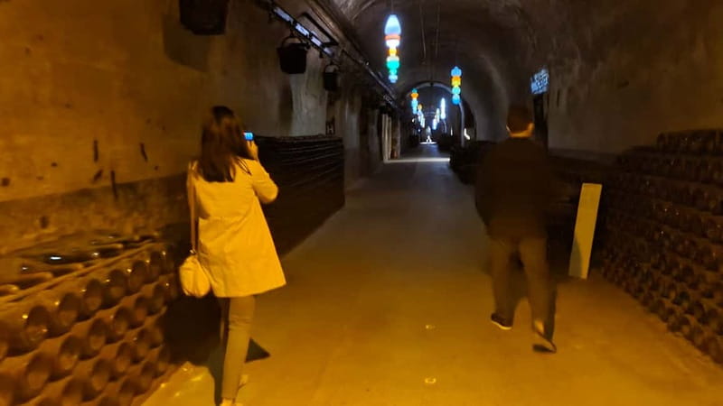 Reims: Big and small wineries day tour - Scenic Drive through Champagnes UNESCO-listed Vineyards