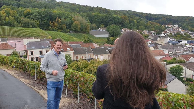 Reims : Discovery Small producers Champagne Day tour - Key Points