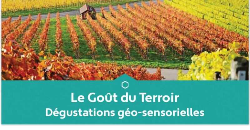 Reims : Educational tasting of 3 Champagnes from Winegrowers - A Diverse Selection Reflecting All Champagne Terroirs