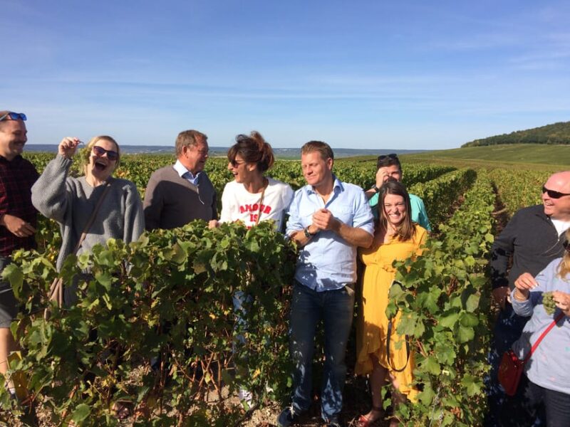 Reims/Epernay: Champagne Day Tour with Tastings - Discover the Sparkling World of Champagne on a Full-Day Tour in Épernay