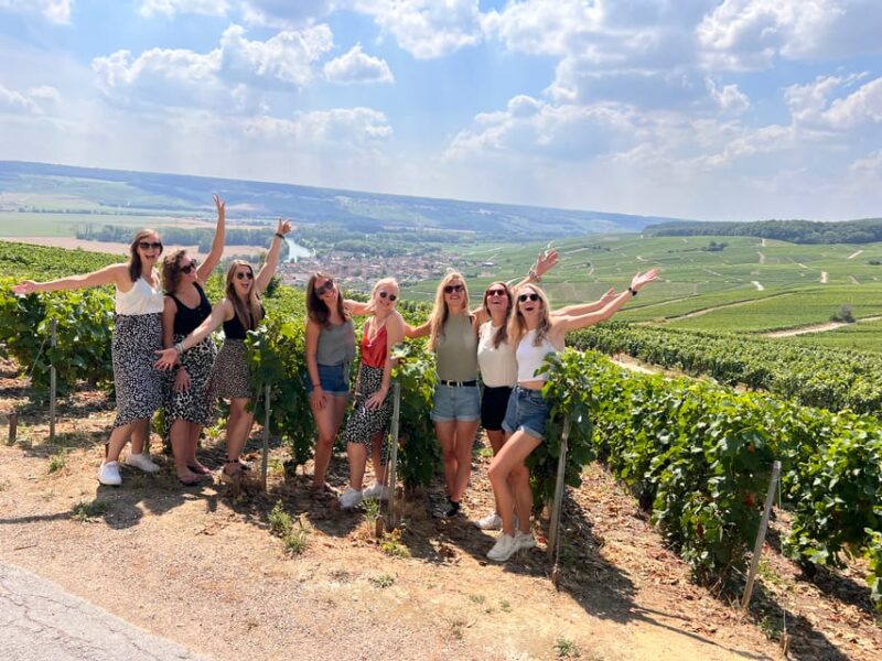 Reims/Epernay: Champagne Day Tour with Tastings - Walking through Épernay’s Vineyards and Soil Insights