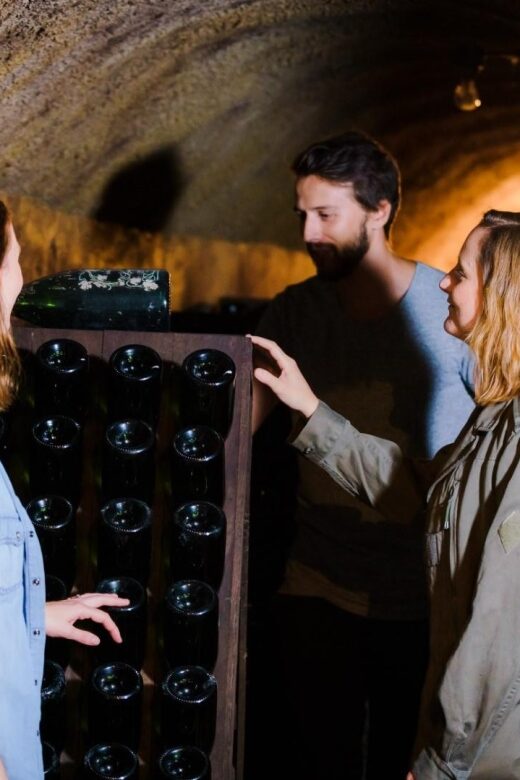 Reims & Epernay: Full Day Private Champagne Tour & 2 Growers - Visiting and Tasting at Two Small Champagne Producers