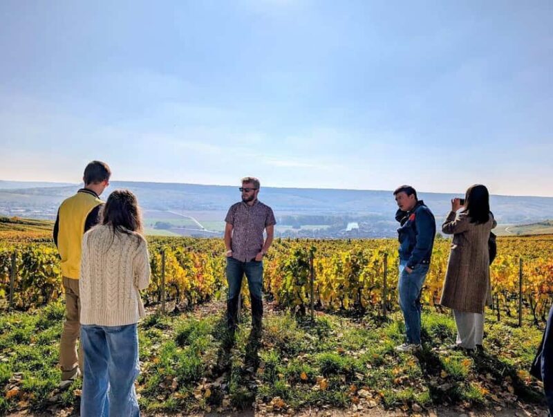 Reims: Moët & Chandon and Family-Run Winery Day Tour & Lunch - Starting Point and Logistics for a Smooth Day