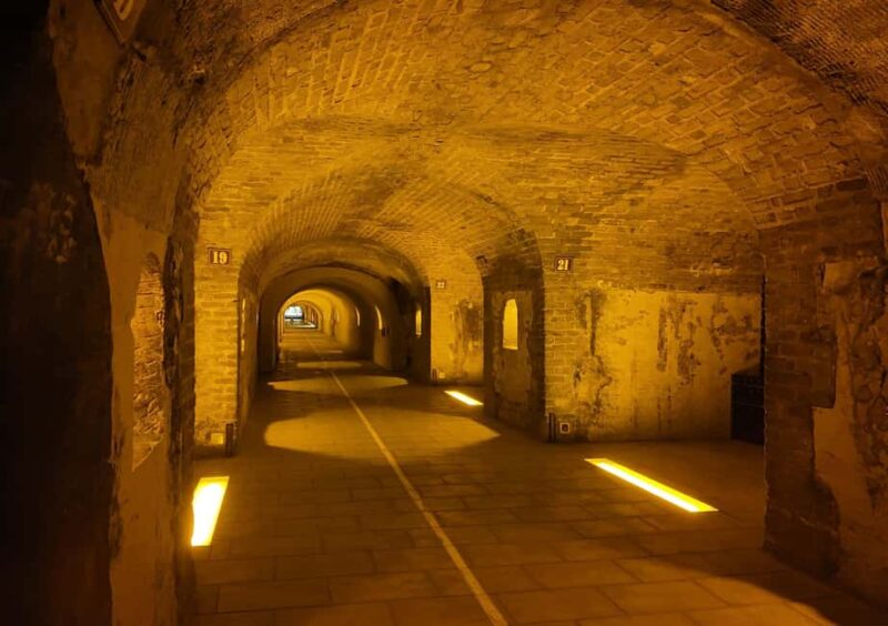 Reims: Moët & Chandon and Family-Run Winery Day Tour & Lunch - Exploring a Family-Run Estate with Three Authentic Tastings