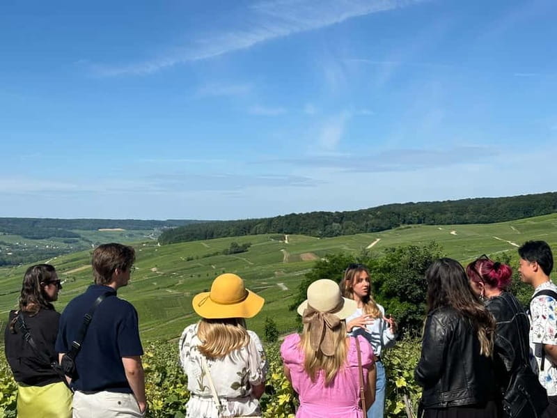 Reims or Epernay: Short day family growers & lunch - Enjoy a French Lunch Paired with Champagne