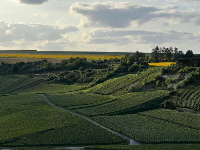 Reims (Pouillon) : Hot Air Balloon Flight with Champagne - Preparing for Your Flight: What to Wear and Bring