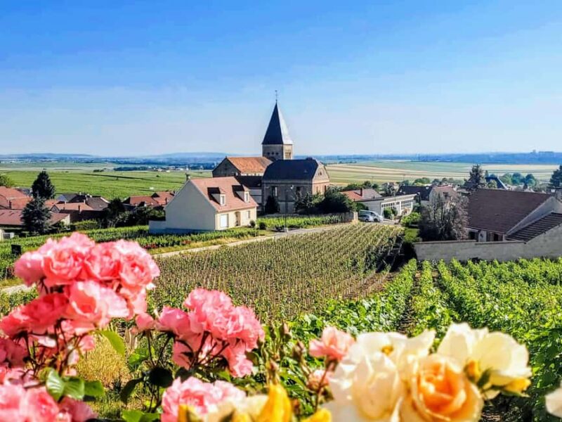 Reims: Veuve Clicquot Tasting Private Tour in Champagne - Key Points