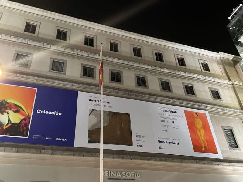 Reina Sofía Museum guided tour with ticket and skip the line - Discover the Reina Sofía Museum with Expert Guidance and Fast Entry