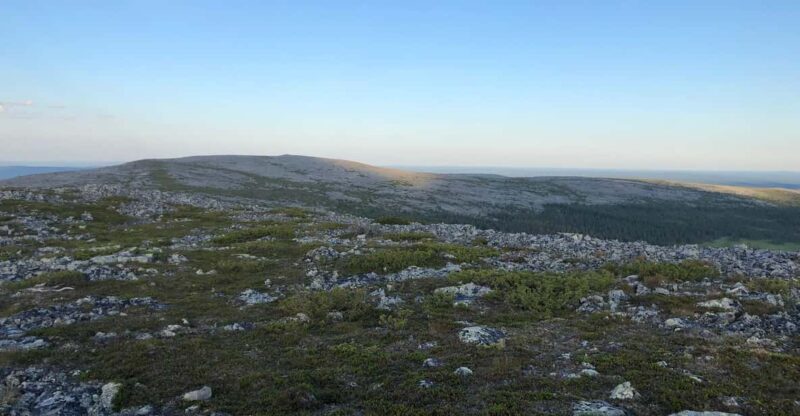 Reindeer Farm Visit & Wilderness Fell Adventure - Final Thoughts on the Reindeer Farm & Wilderness Fell Adventure