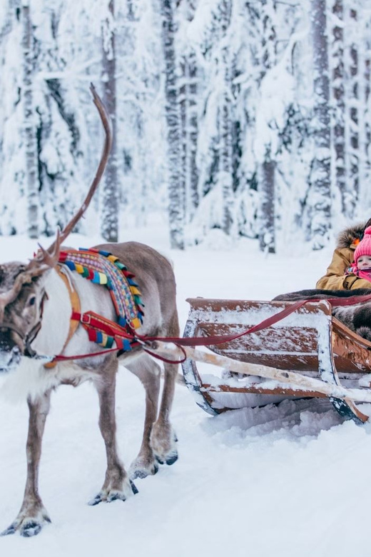 Reindeer Farm Visit with Sleigh Ride - Key Points