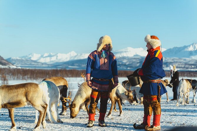 Reindeer Feeding and Sami Culture Afternoon Departure - The Sami Camp and Scenic Surroundings