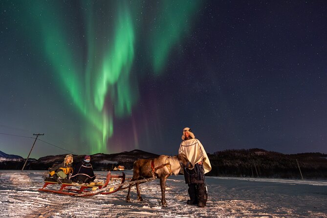 Reindeer Feeding and Sledding, Sami Storytelling Night Tour - Opportunities to Try Lasso Throwing